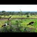 3. Tarangire  2-10