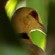 1. On-eggs  Anne Outwater  Dar es Salaam  7-14