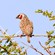 12. Lake Manyara  7-12
