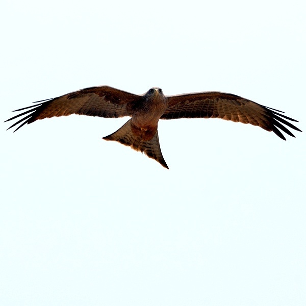 12. Ngorongoro Crater  7-12