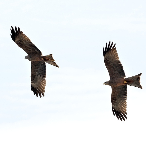 14. Ngorongoro Crater  7-12
