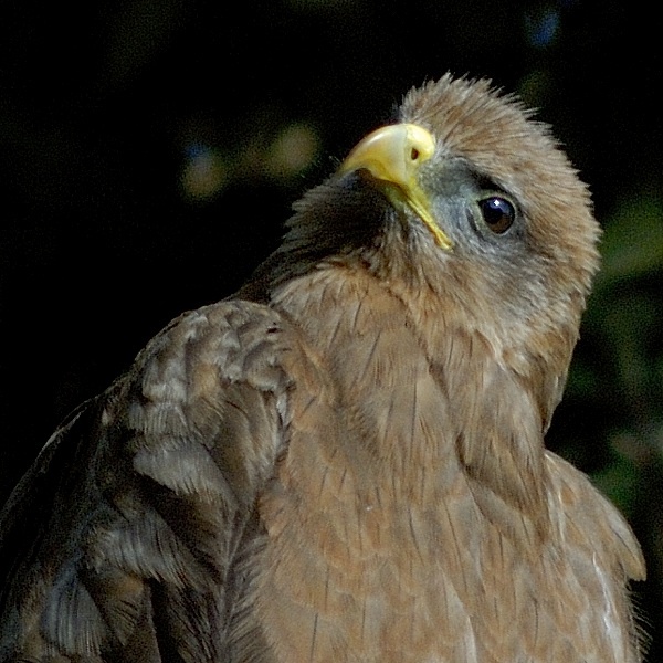3. Ngorongoro    1-14