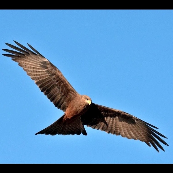 7. Ngorongoro Rim  Zul Bhatia  10-12