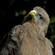 3. Ngorongoro    1-14