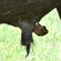 12. Ngorongoro Crater  1-18