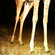 3. Night Roost Snapshot   Serengeti  10-11