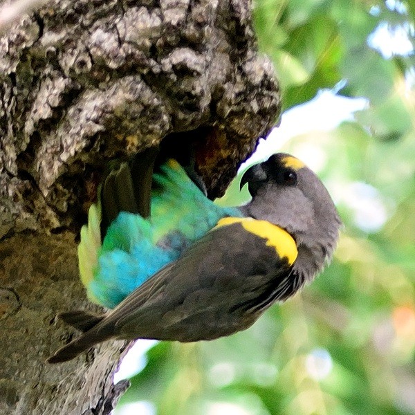13. Hwange NP (Zimbabwe)  4-16