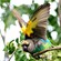 12. Hwange NP (Zimbabwe)  4-16