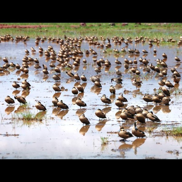 3. Lake Manyara  4-06