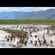 2. Lake Manyara  4-06