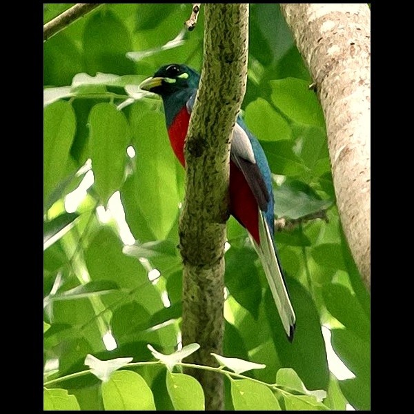 7. SelousRd-East of Uluguru Mtns  Paul Oliver  11-14
