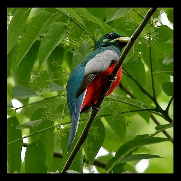 8. SelousRd-East of Uluguru Mtns  Paul Oliver  11-14