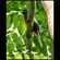 7. SelousRd-East of Uluguru Mtns  Paul Oliver  11-14