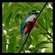 8. SelousRd-East of Uluguru Mtns  Paul Oliver  11-14
