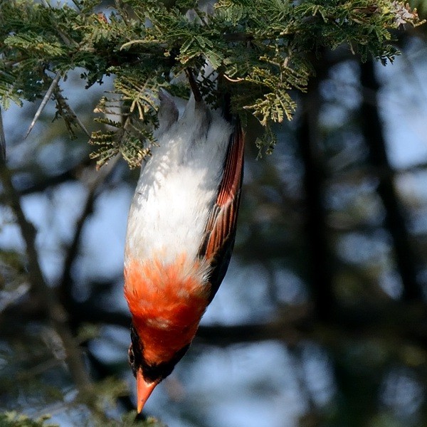 22. TGT-Arusha  8-19