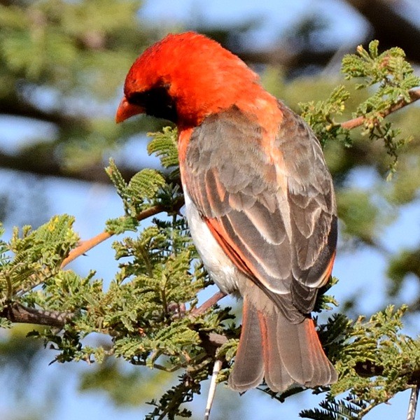 25. TGT-Arusha  8-19