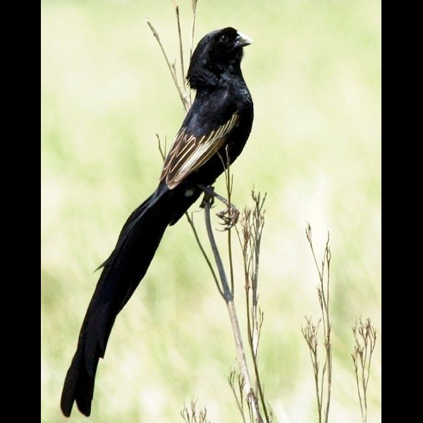 2. Ngorongoro Crater  Anabel Harries  9-06
