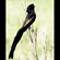 2. Ngorongoro Crater  Anabel Harries  9-06