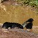 4. Ngorongoro Crater  3-09