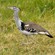 10. Ngorongoro Crater  7-12