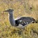 13. Ngorongoro Crater  7-14