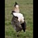 19. Ngorongoro Crater  1-16