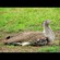 20. Ngorongoro Crater Tom Nicholls   2-08