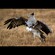 3. Ngorongoro Crater  Luc Grollie  7-11