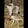 6. Ngorongoro Crater  Paul Oliver  11-16