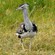 9. Ngorongoro Crater  7-12