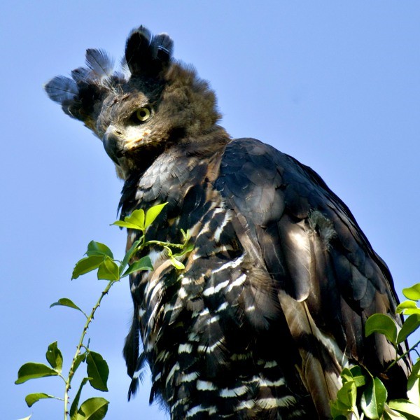 1. Arusha NP   3-22