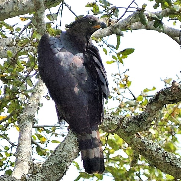 12. Arusha NP  9-04