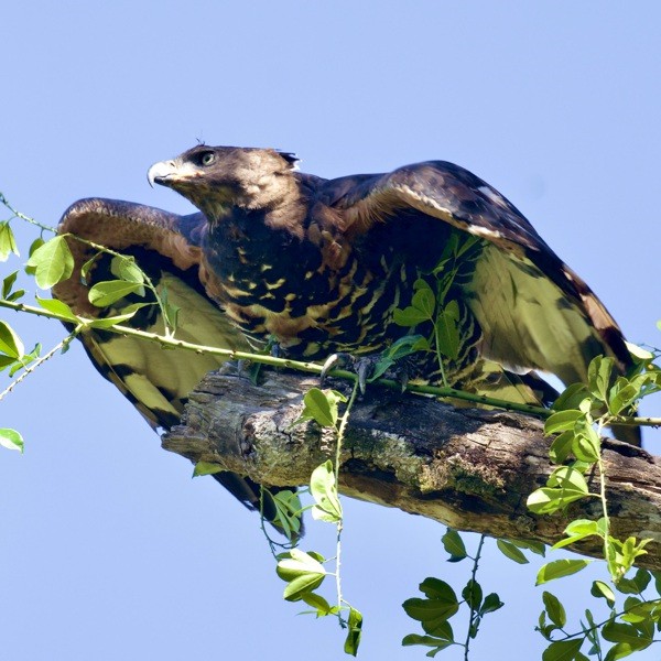 3. Arusha NP   3-22