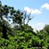 13. Arusha NP  John Schwerkoske  10-14