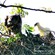 19. Arusha NP  11-14