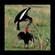 5. Tarangire 2-09