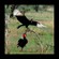 6. Tarangire 2-09