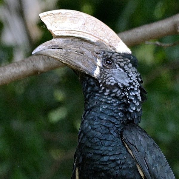 14. Lake Manyara  10-19