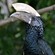 14. Lake Manyara  10-19