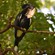 5. Lake Manyara  1-16