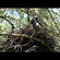 3. Arusha NP  3-13