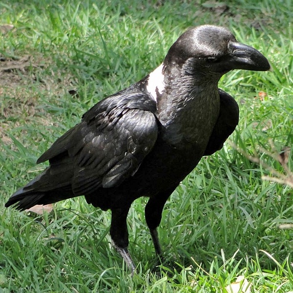 6. Location unrecorded  Siegfried Woldhek (2)