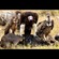 16. Mara River  7-12