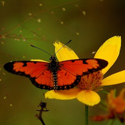 5. So. Maasailand  5-08