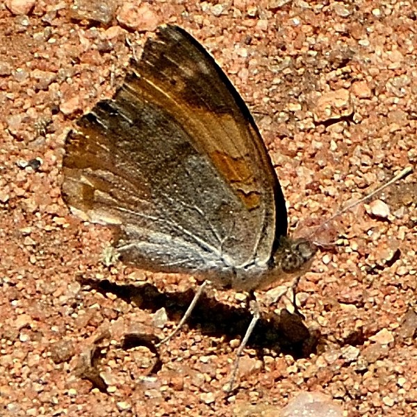 8. Yaida  3-18